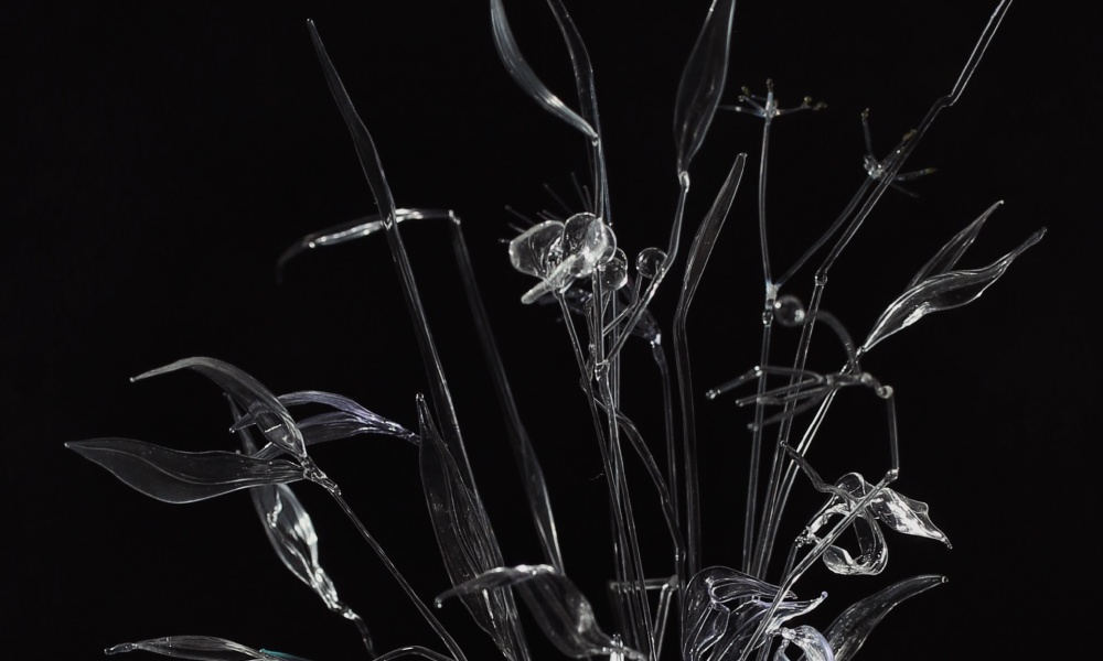 GLASS BOTANY: AN ENTERTAINING HISTORY AND MODERN PRACTICE