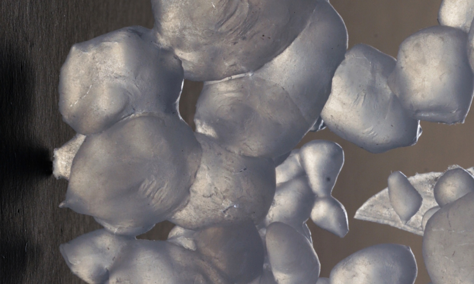 ПОЛЕ ЗРЕНИЯ